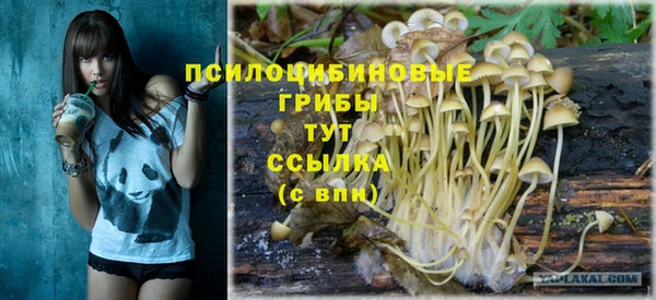 jwh Абаза