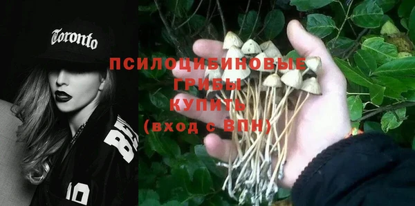 ECSTASY Абинск