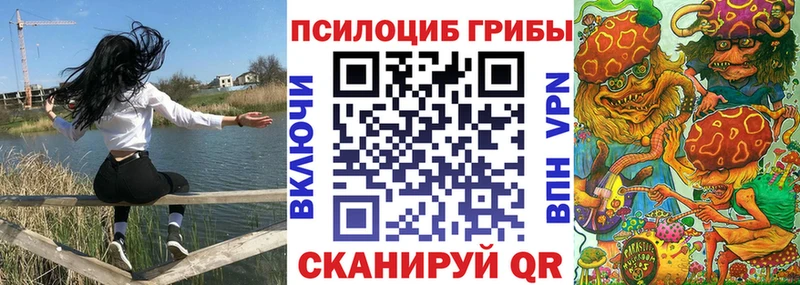 где продают наркотики  Шахунья  Псилоцибиновые грибы мицелий 